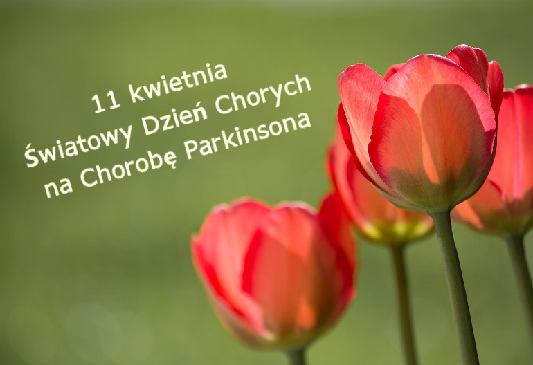 Czerwone tulipany na zielonym tle i obok napis: 11 kwietnia, Światowy Dzień Chorych na Chorobę Parkinsona.